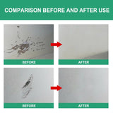 Crack Gap Repair and Filler Paste (Only Paste) (Premium Quality)