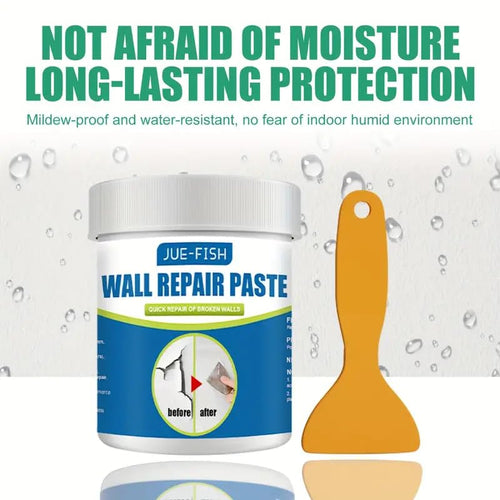 Crack Gap Repair and Filler Paste (Only Paste)